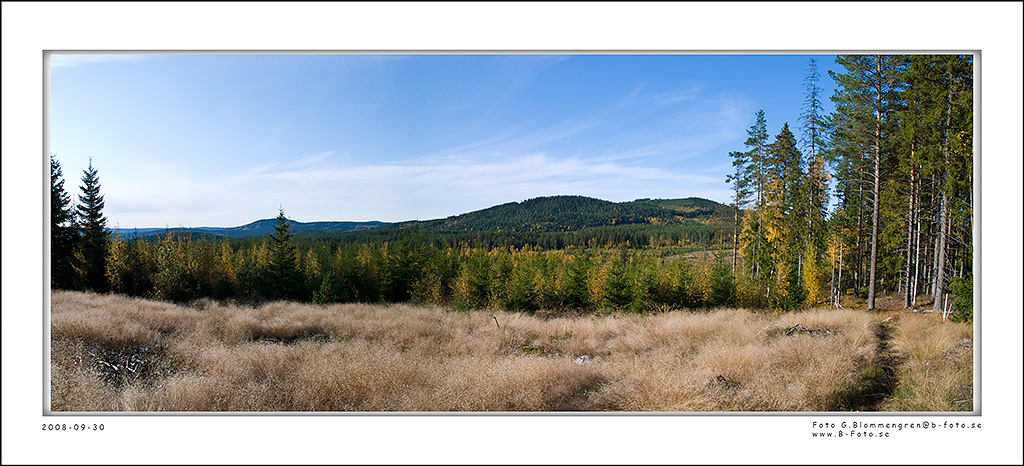 DSC8113-Edit